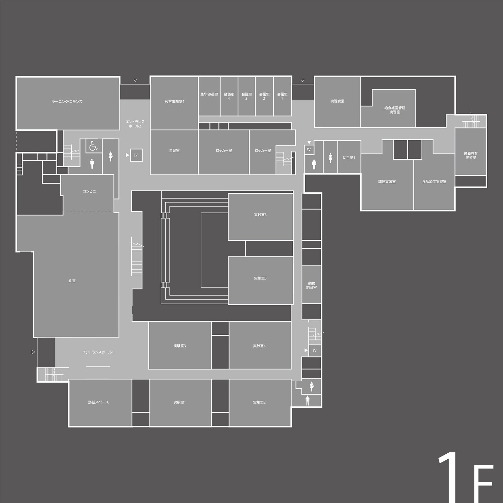 Floor-1 Illust