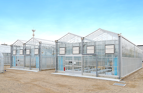 Greenhouse (Hydroponics Equipment)