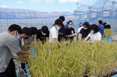 Basic Exercises in Agricultural Science