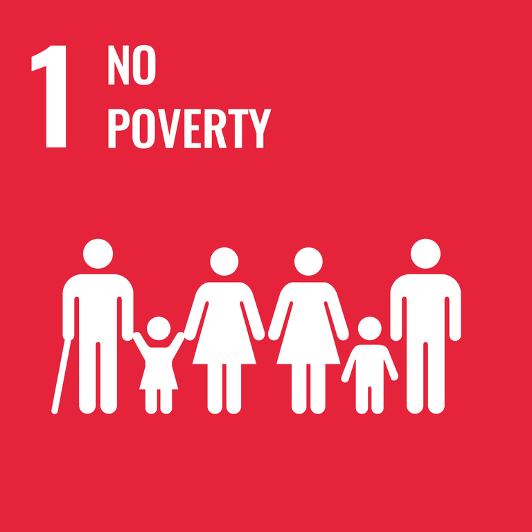 SDGs Icon01