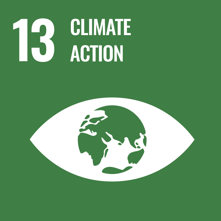 SDGs Icon13