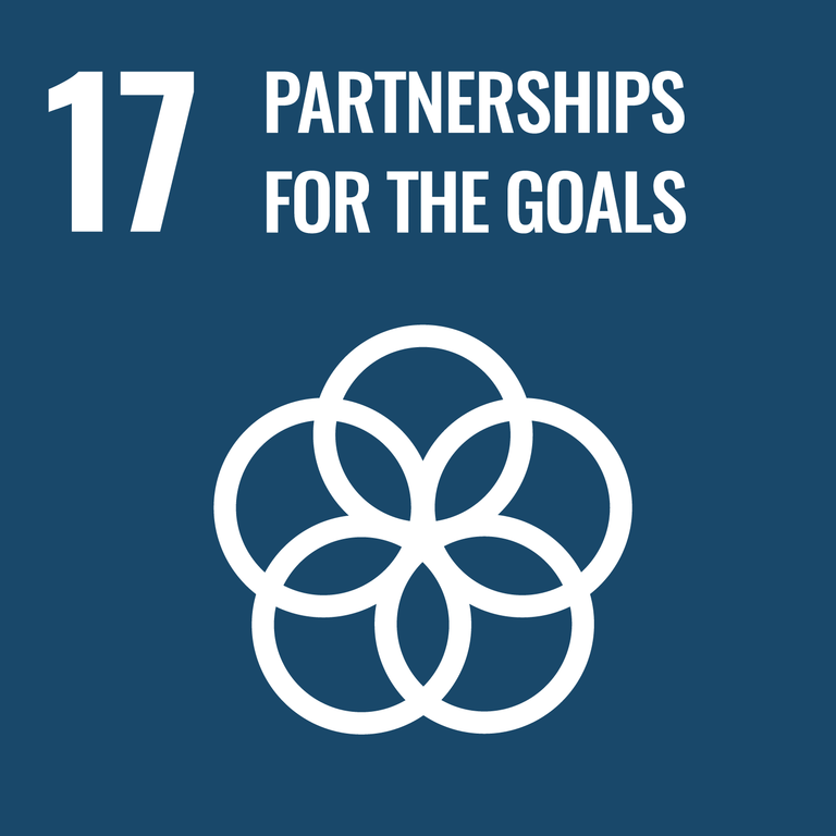 SDGs Icon17